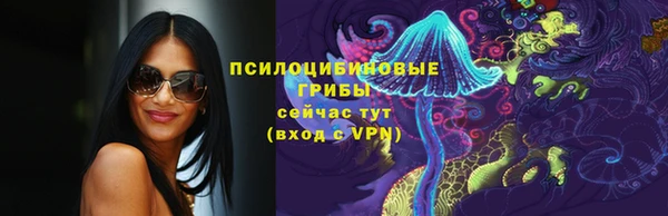 дурь Надым