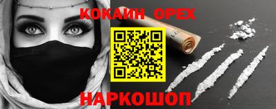 гидропоника Гатчина
