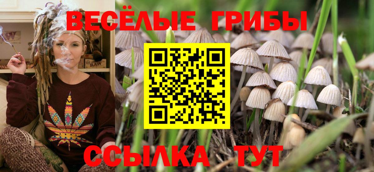 Псилоцибиновые грибы мицелий  Вход с VPN  Гагарин 