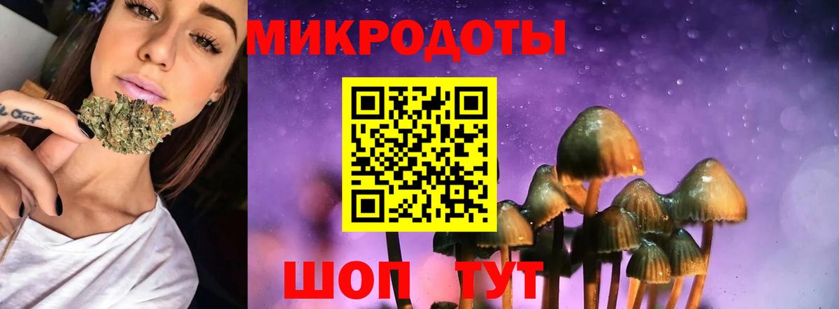 Галлюциногенные грибы мухоморы  Галлюциногенные грибы Magic Shrooms  как найти закладки  Гагарин 